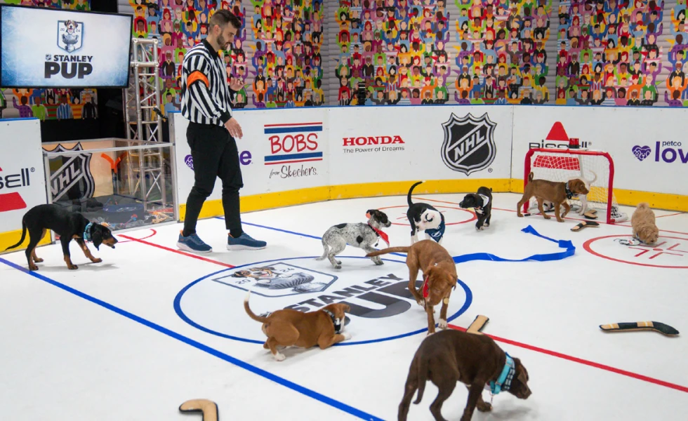 Inaugural ‘Stanley Pup’ competition to air ahead of Game 1 of Cup Final