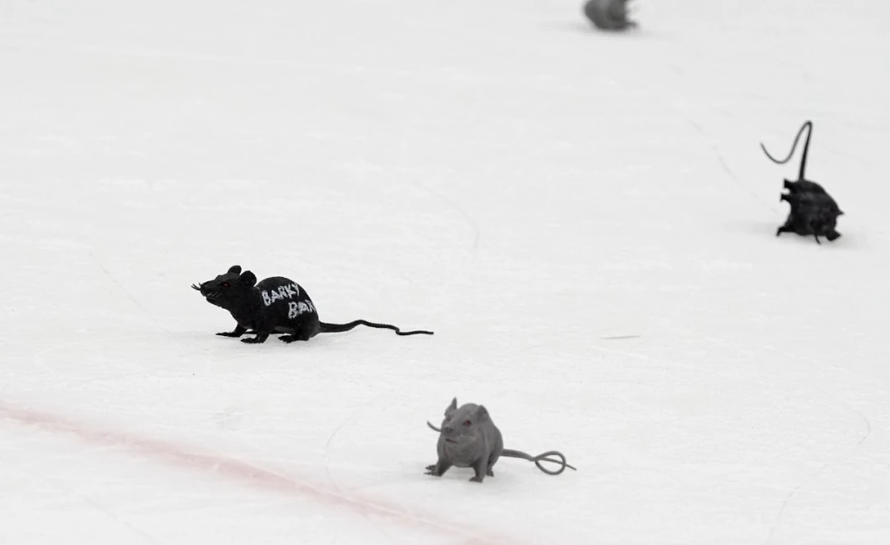 Panthers troll rat-free Alberta after Game 3 win in Edmonton