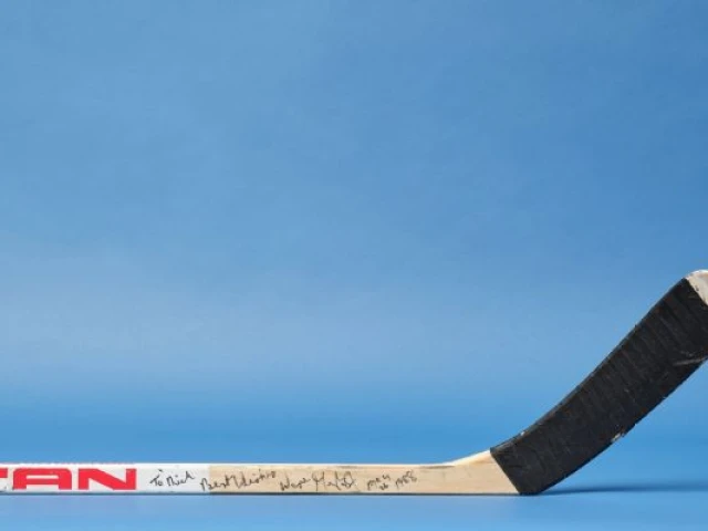 Gretzky's stick in '88 clincher sets auction record