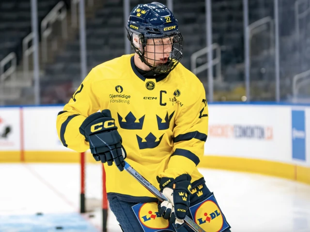 Sweden claim bronze over the United States at the Hlinka Gretzky Cup