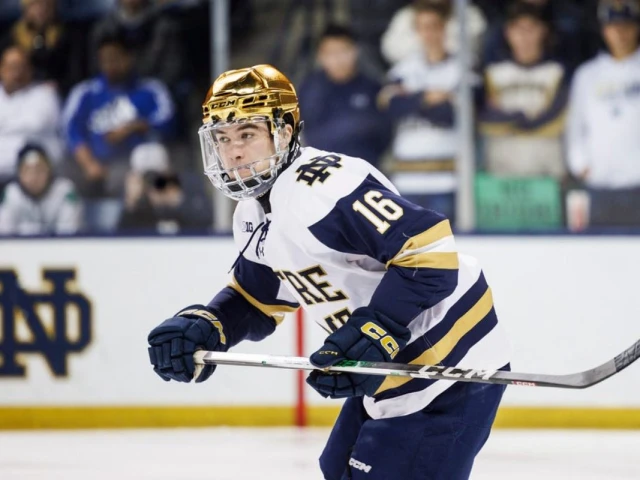 Oilers acquire Paul Fischer, 2028 third-round pick from Blues for future considerations