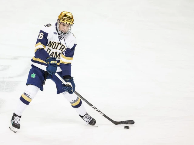 Getting to know Paul Fischer, the prospect the Oilers acquired from the Blues