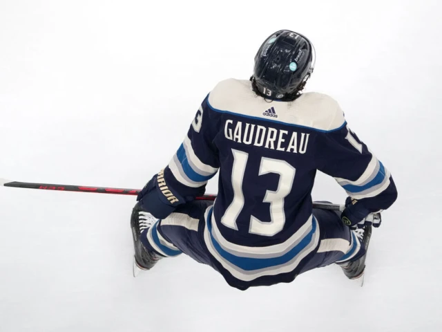 Hockey world pays tribute to Gaudreau brothers