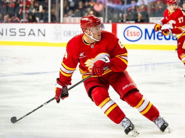 Report: Flames, Barrie agree to 1-year, $1.25M deal