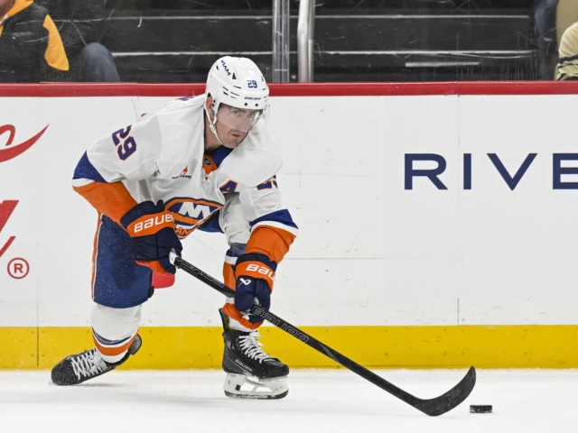 Report: Stars interested in Islanders' Nelson