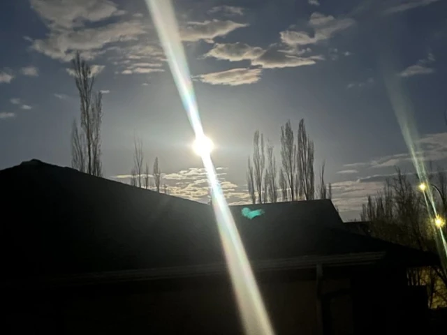 A New Dawn, A New Day