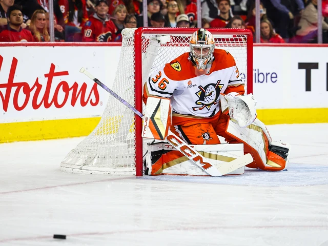 What might the Ducks want in return for goaltender John Gibson?
