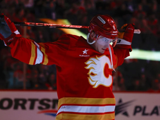 Flames place Barrie on waivers