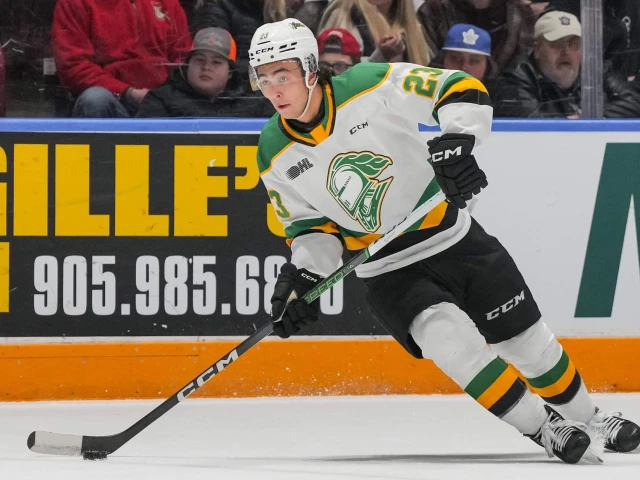 A complete look at the Edmonton Oilers' prospects in spring 2025