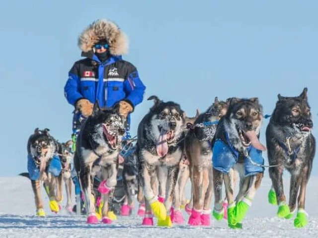 How the Oilers are drawing inspiration from a resilient dog sled musher: 'It's about everyone'