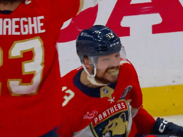 Panthers’ Reinhart picks Bouchard’s pocket and wires one past Skinner
