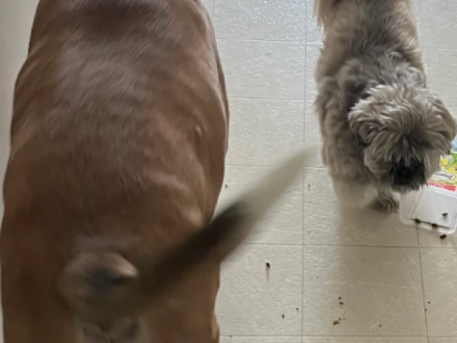 Building ‘up the middle’