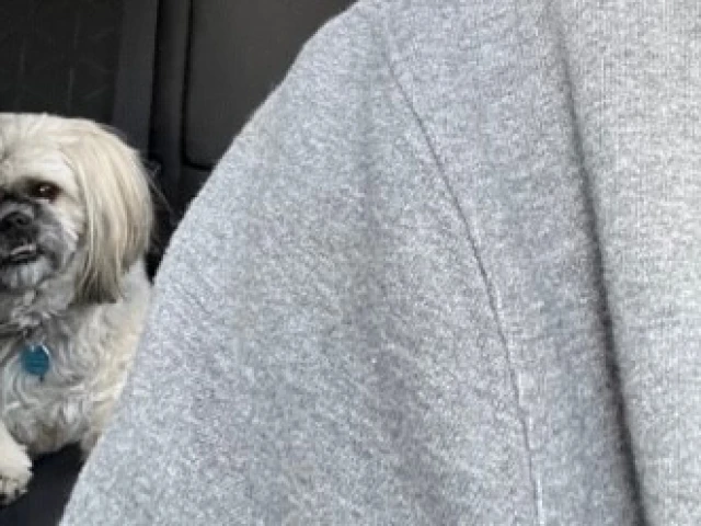 PS G1, 2: Oilers vs Flames