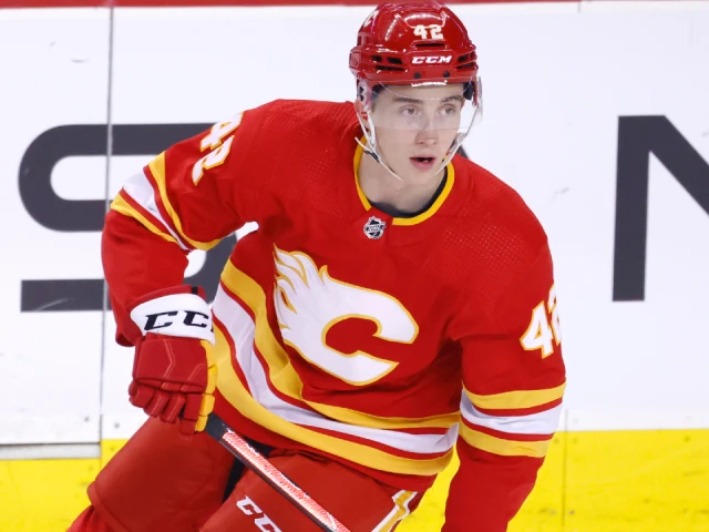 Flames’ Honzek among cuts from training-camp roster