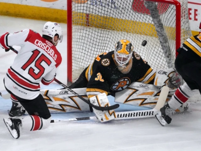 NHL Rumors: Bruins, Maple Leafs, Flames, and Oilers