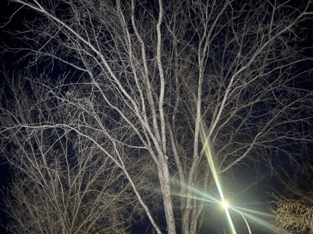 The return of Glen Sather Procurement