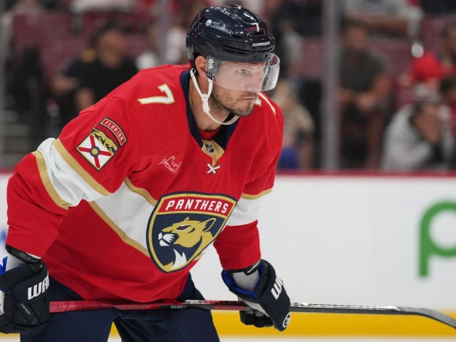 Panthers’ Dmitry Kulikov may need surgery for upper-body injury, coach says