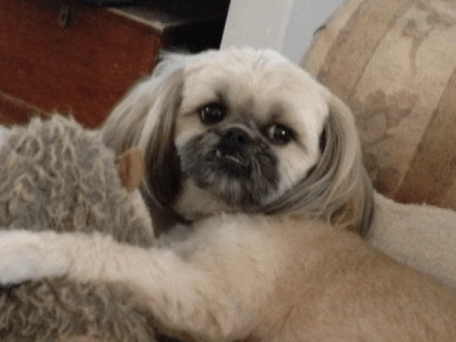 Oilers at Devils, G5 2025-26