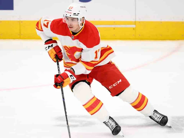 Flames’ Sharangovich returns to lineup vs. Jets, Kadri ‘totally good’