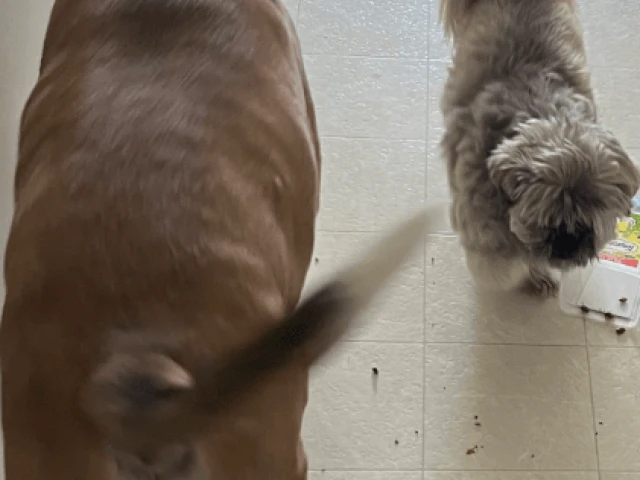 Oilers at Canucks, G10 2025-26