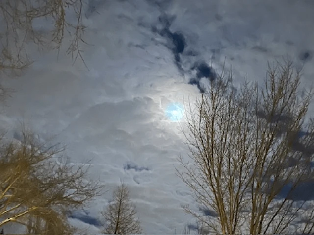 Mammoth at Oilers, G11 2025-26