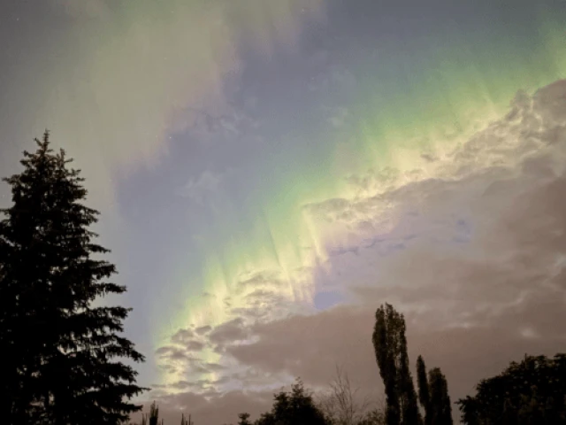 Seven Spanish Angels