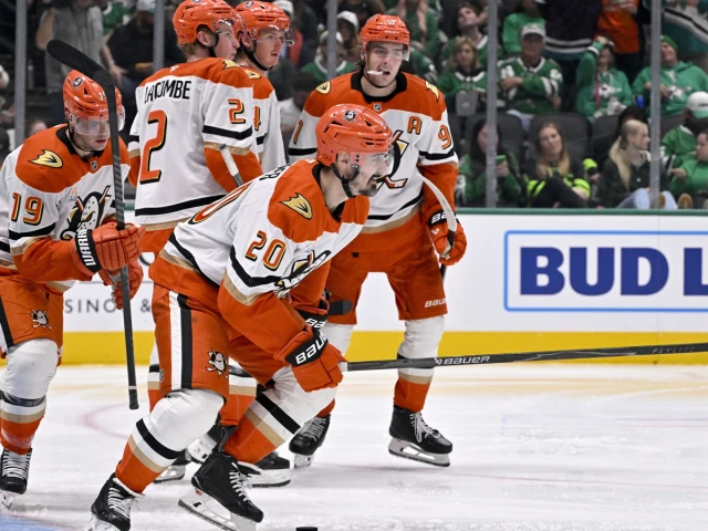 Excited by Ducks’ hot start? Here’s why you should be