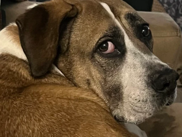 Flashbacks to The Swarm