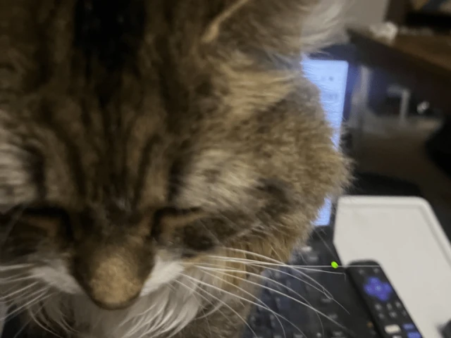 Kraken at Oilers, G28 2025-26