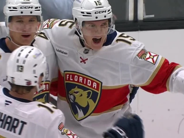 Panthers’ Lundell bats game-winning goal out of mid-air in final minute