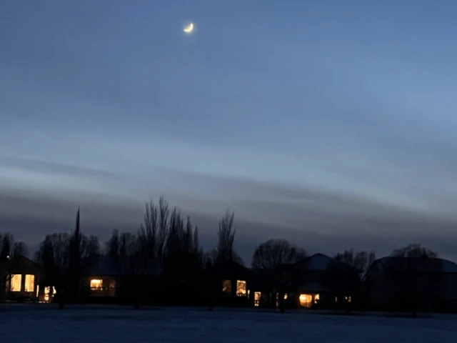 Red Wings at Oilers, G31 2025-26