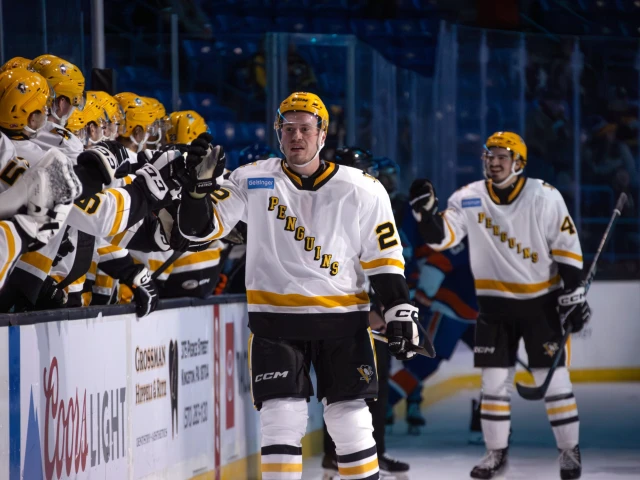 What do the Oilers have in their newest prospect Samuel Poulin?