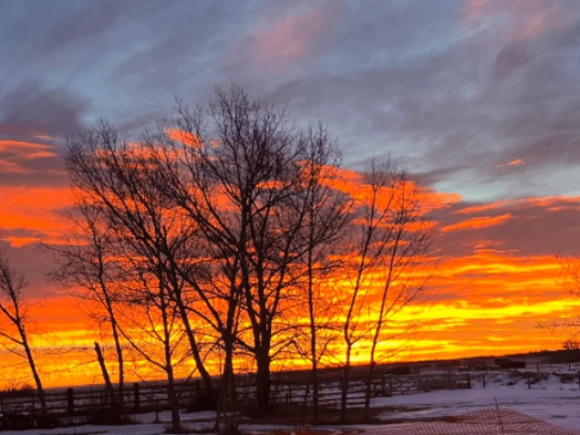 Oilers at Wild, G36 2025-26