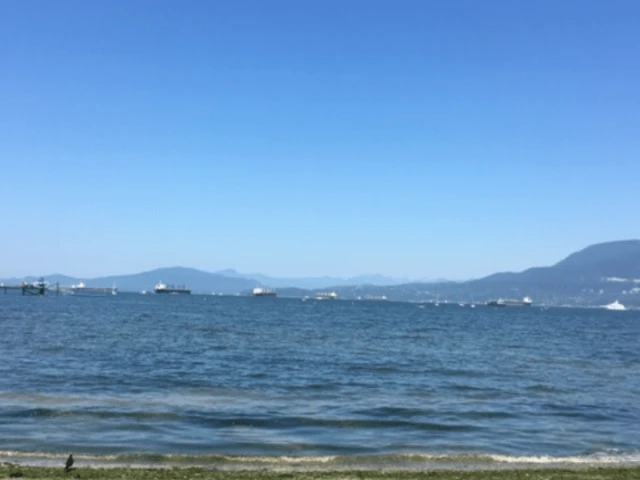 Standing on the Shoreline