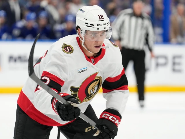 Senators’ Pinto accepts invite to play PGA Tour Americas event in Ottawa