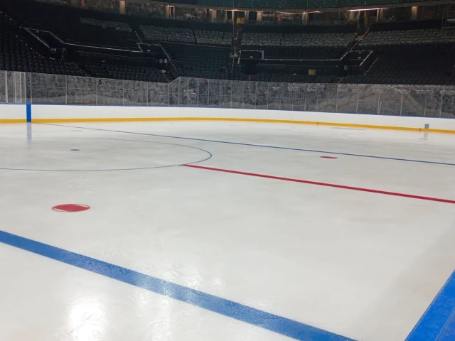 'Nightmare': Hockey fans react to surfaced video of Olympic arena