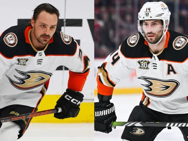 Oilers have trade interest in two Ducks forwards: report